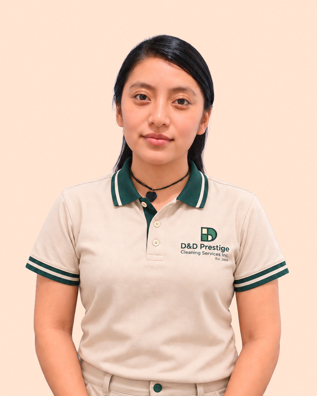 D&D Prestige Cleaning household attendant